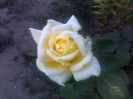 040920152637