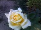 040920152638