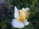040920152640