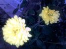 040920152645
