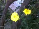 040920152646