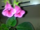 170920152674