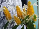 20150918_121114