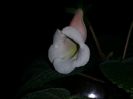 20150918_073608