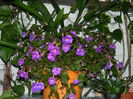 DSCN2305