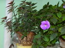 DSCN2480