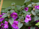 DSCN2535
