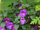 DSCN2821