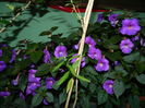 DSCN2879
