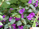 DSCN2980