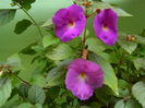 DSCN2987