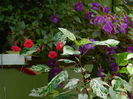 DSCN3661