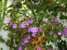 DSCN3785