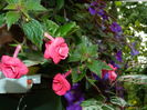 DSCN3825