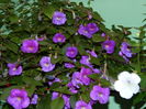 DSCN3832