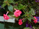 DSCN3853