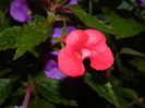 DSCN4572