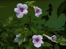 DSCN4576