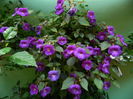 DSCN4579