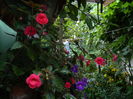 DSCN6249
