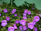 DSCN6370