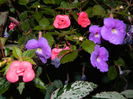 DSCN6375
