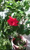 IMG_20150918_163531[1]
