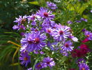 18 sept 056