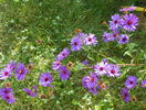 18 sept 057