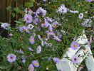 18 sept 039
