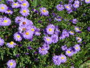18 sept 053