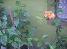 DSCF0047
