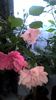 WP_20150919_10_21_37_Pro