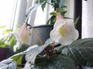 20150919_124527