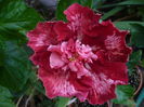 P1240144