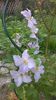 WP_20150829_035