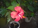 DSCF0050