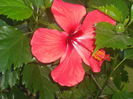DSCF0055