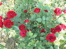SAM_7093