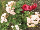 SAM_6302