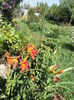 SAM_6854