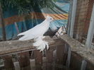 DSCN0394