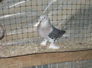 DSCN0404