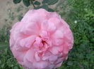 IMG_20150919_150352
