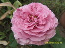 SAM_5578