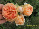 SAM_5597