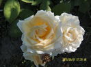 SAM_6175