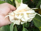 SAM_0176