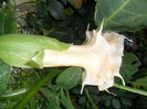 SAM_0174