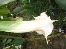 SAM_0171